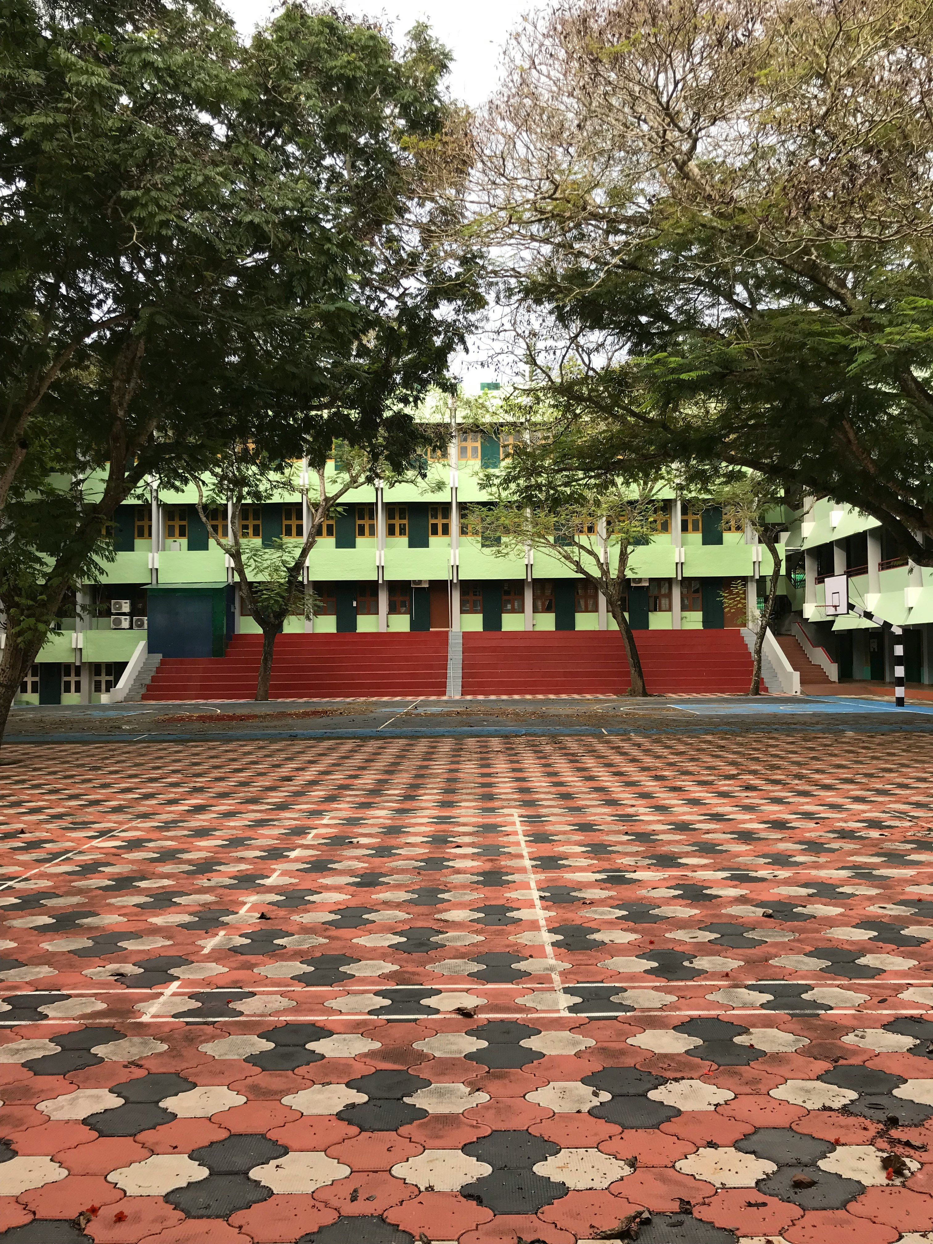 pool in green garden